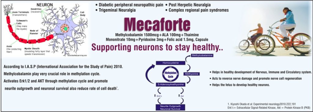 Mecaforte